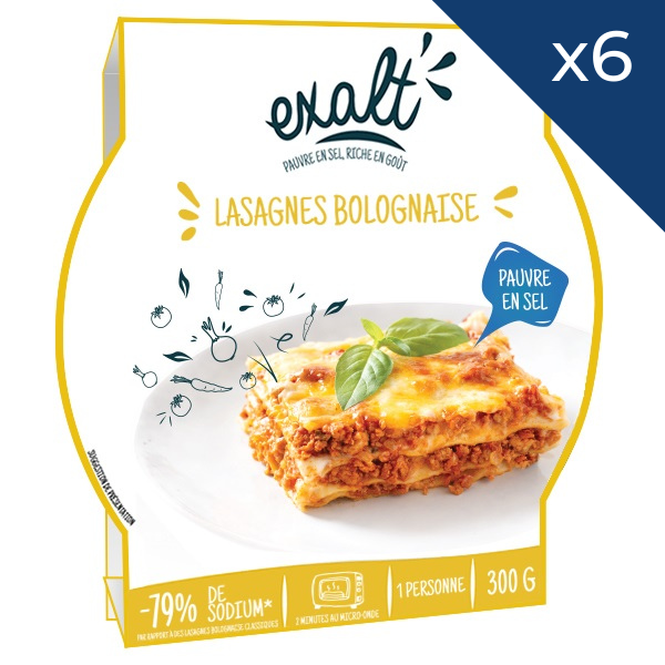 Lasagne Bolognese - salzarm - in Portionen zu 6 Stück