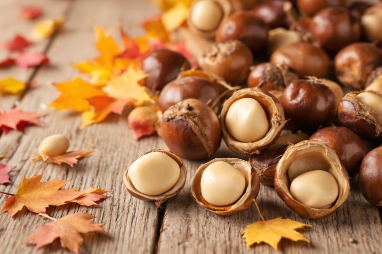 Les amateurs de châtaignes vont adorer : cette méthode évite la corvée d'épluchage.jpg